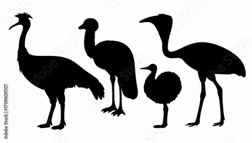 Silhouette depiction of four birds with long necks and legs standing on a white background in a row