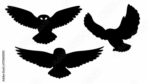 Silhouette illustration of three owls in flight with wings spread against a white background view from below