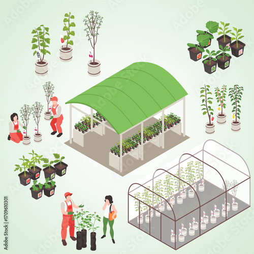 Isometric Detailed Garden Nursery with Fruit Trees and Plant Cultivation