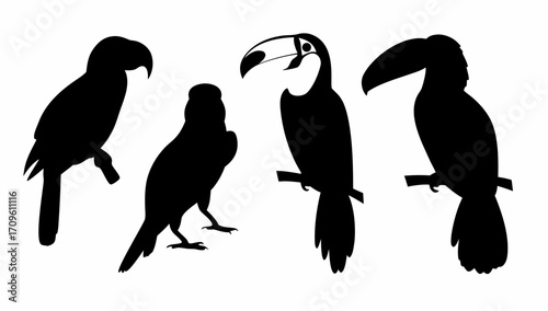 Silhouette depiction of four birds including parrots and toucans perched on branches in stark black and white