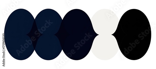Abstract design of overlapping, ovoid shapes in navy blue, white, and black