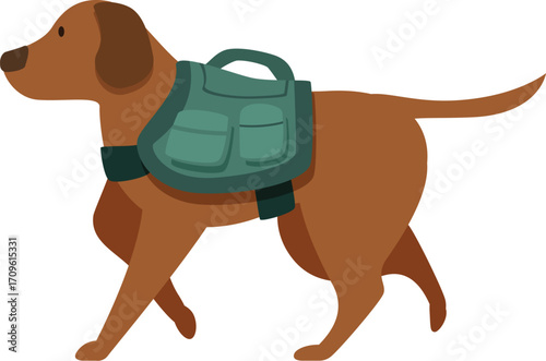 Brown labrador retriever walking and carrying a green backpack, side view