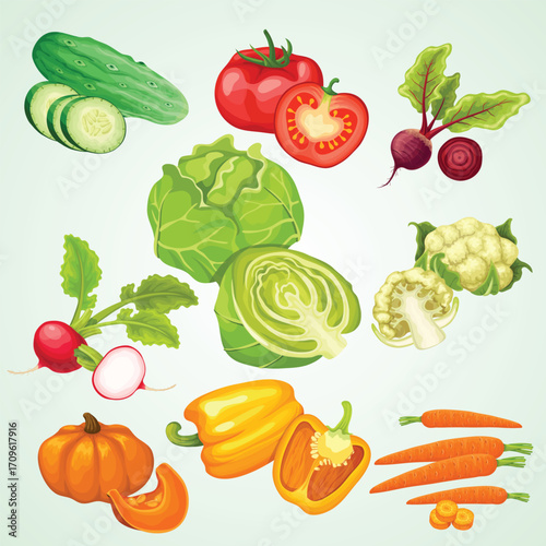 Detailed Colorful Culinary Vegetables Still Life Illustration and Cooking Ingredients