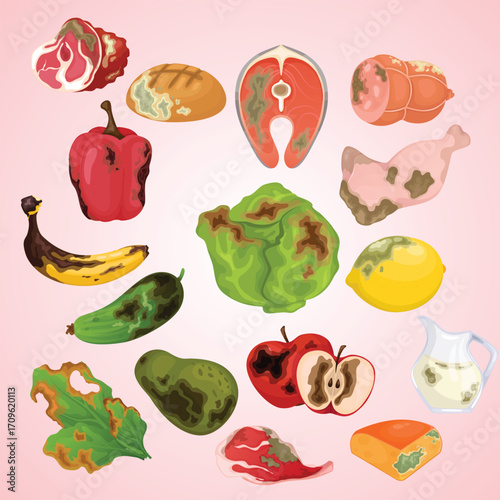 Colorful Flat Illustration of Spoiled Food with Mold and Decay Signs
