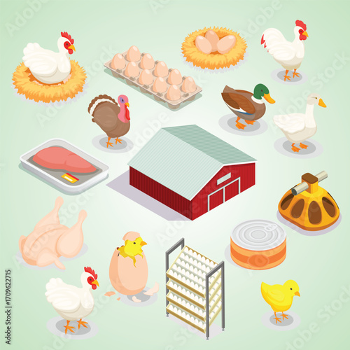 Isometric Style Poultry Farming and Livestock Production Icon Set Illustration