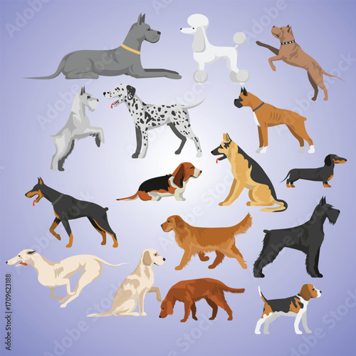 Flat Style Detailed Various Purebred Dog Breed Collection Illustration