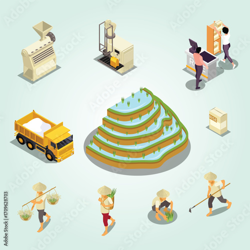 Isometric Rice Production Stage and Farmer with Equipment Illustration