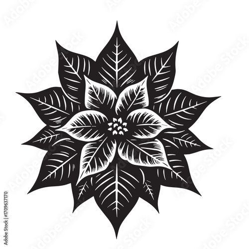 Black Poinsettia Flower Silhouette Vector Illustration design, Solid White Background