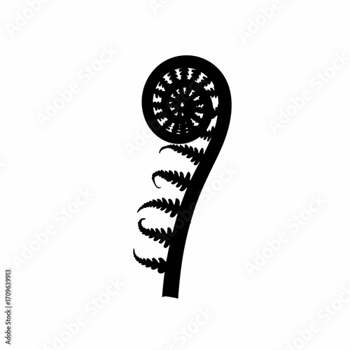 Close up view of a delicate unfurling fern frond in silhouette shape detail