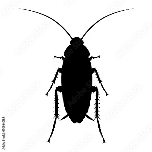 Silhouette of a detailed cockroach with antennae and legs clear against a plain background