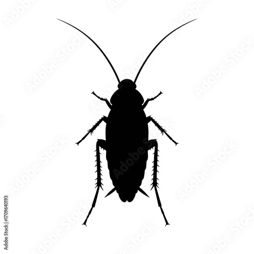 Black silhouette of a cockroach shown from above with long antennae and detailed legs