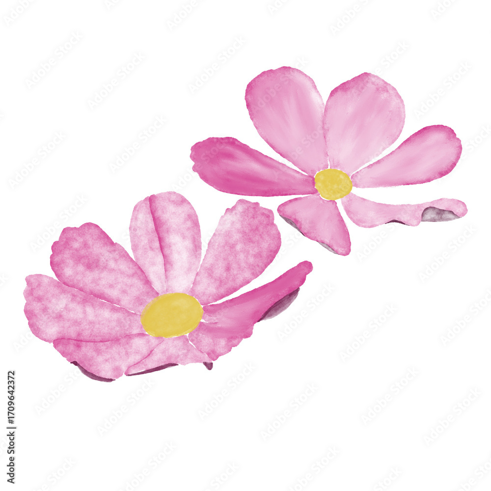 Obraz premium pink double flowers without leaves