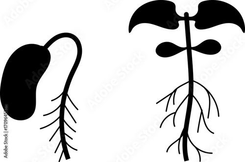 Seedling with leaves. Sprout icon. A new beginning. Silhouette of a sprout, a plant that is germinating. Growing plant silhouette vector illustration. Growing and gardening symbol