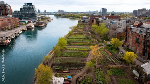 Aerial view of an urban riverside farm. Rows of buildings contrast with orderly green farmland, with boats moored in the water.