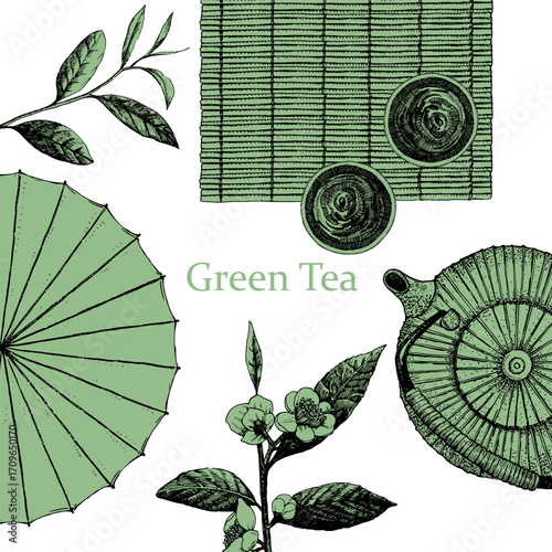 Green Tea. Japanese Restaurant Menu. Hand-drawn illustration of dishes and products. Ink. Vector	