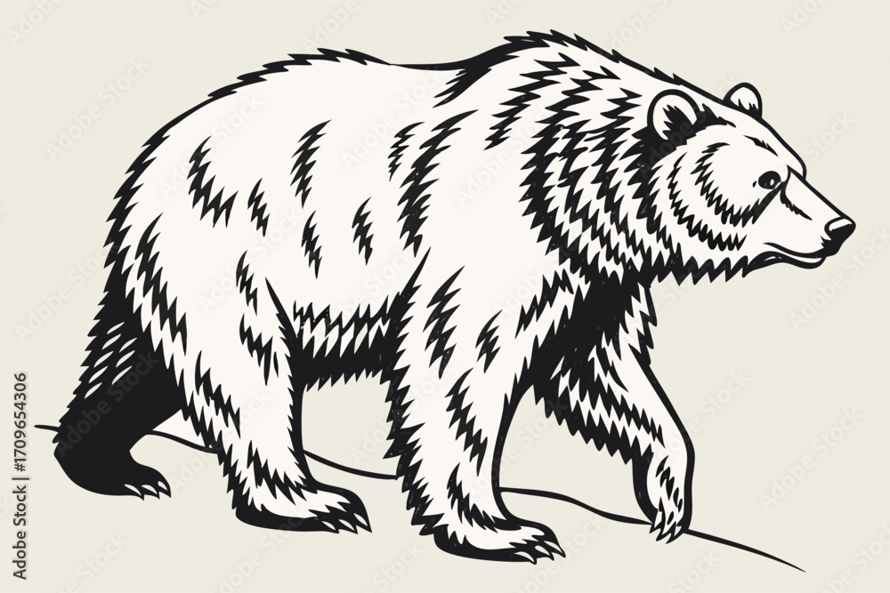 Fototapeta premium Grizzly bear in black and white animal drawing outline