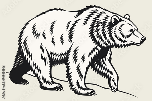 Grizzly bear in black and white animal drawing outline