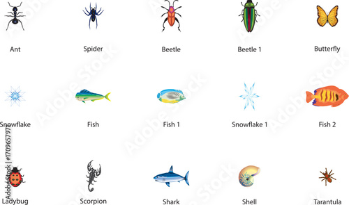 Charming nature animal illustration isolated on white background