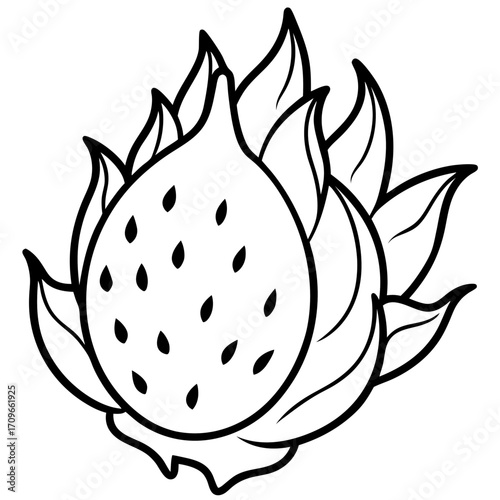 A black and white line art illustration of a dragon fruit silhouette isolated on white background