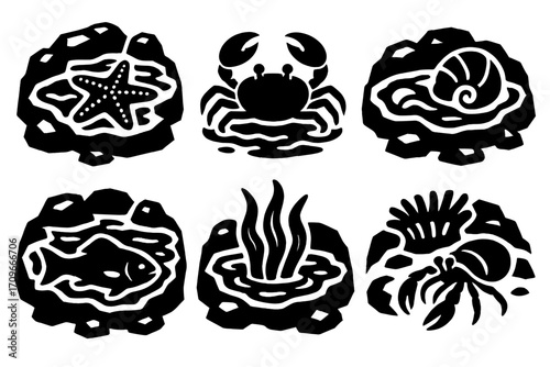 Marine life silhouette icon set. featuring starfish, crab, snail, fish, seaweed, and shrimp symbols