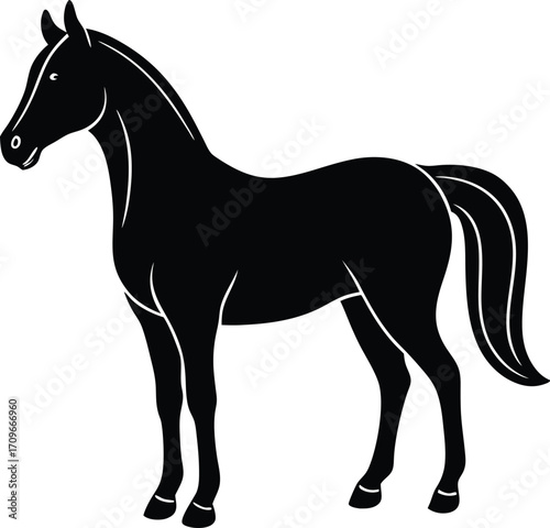 Solid black horse silhouette in profile a classic animal graphic