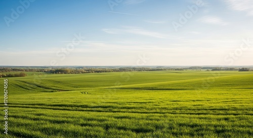 Vast, vibrant green field stretches under a clear, light blue sky