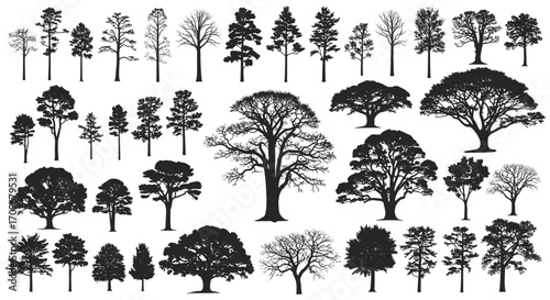 A collection of diverse deciduous and evergreen tree silhouettes.