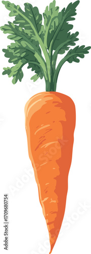 carrot simple flat vector vegetable illustration