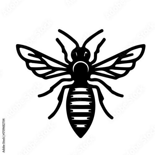 Wasp Outline Vector
