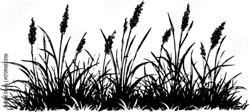 Black silhouette of grass and plants in a vintage outline style. This vector illustration depicts natural foliage and is suitable for decorative use.