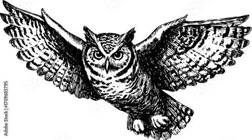 Vintage illustration of an owl with outstretched wings. Black and white vector drawing showcasing detailed features in a classic style.