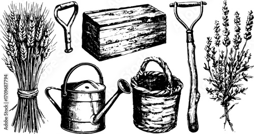 Garden tools set illustration, featuring wheat, watering can, and basket. Black and white vector drawing emphasizing agriculture and gardening.