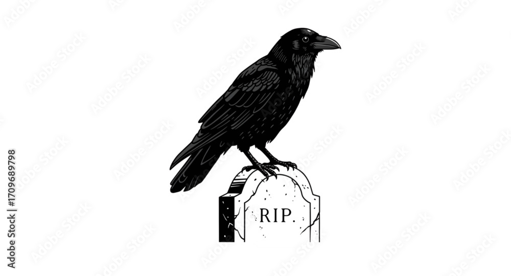 Obraz premium Black crow on the gravestone.