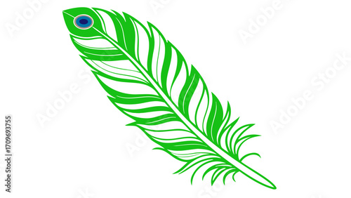 green mor feather isolated on white background