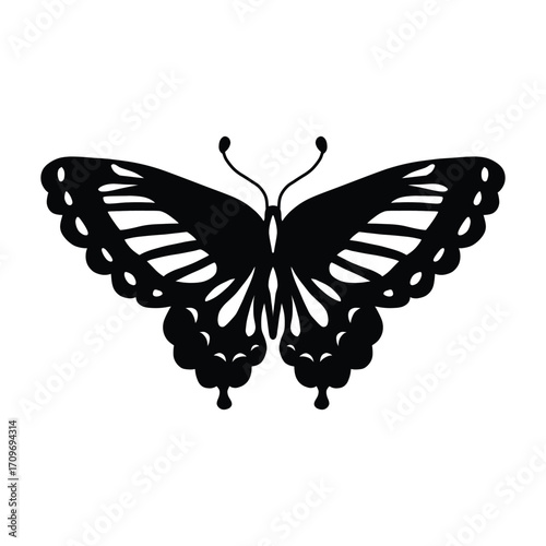 Butterfly Silhouette Vector. Elegant Insect with Detailed Wings, Black Butterfly Vector. Decorative Insect Silhouette Design