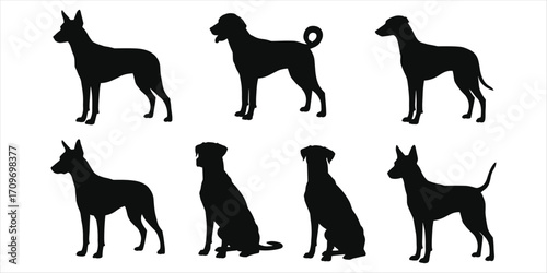 Six black dog silhouettes in standing and sitting positions on white background Keywords: dog, silhouette, animal, pet, canine