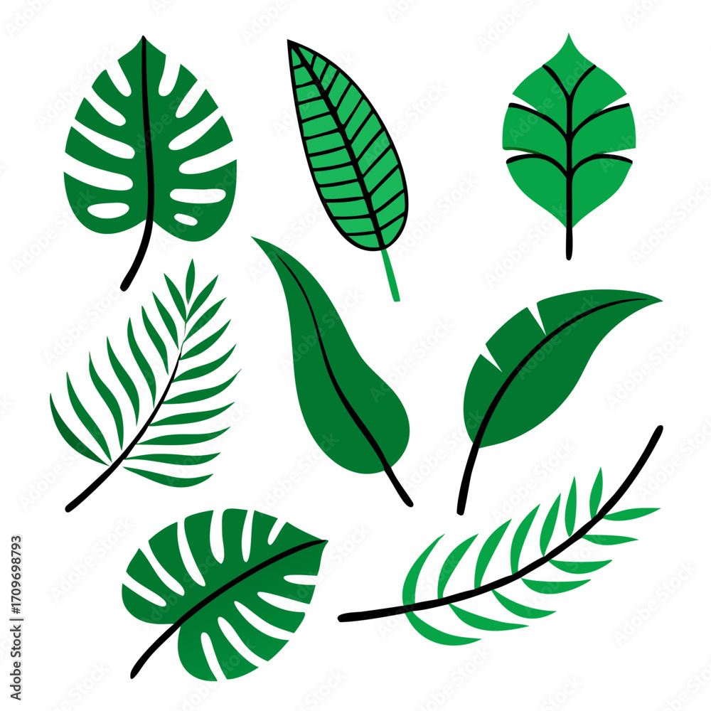 Obraz premium Tropical palm leaves, Palm, monstera, banana leaf, hibiscus, isolated on white background.