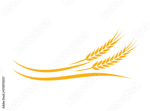 Agriculture wheat vector Illustration design template