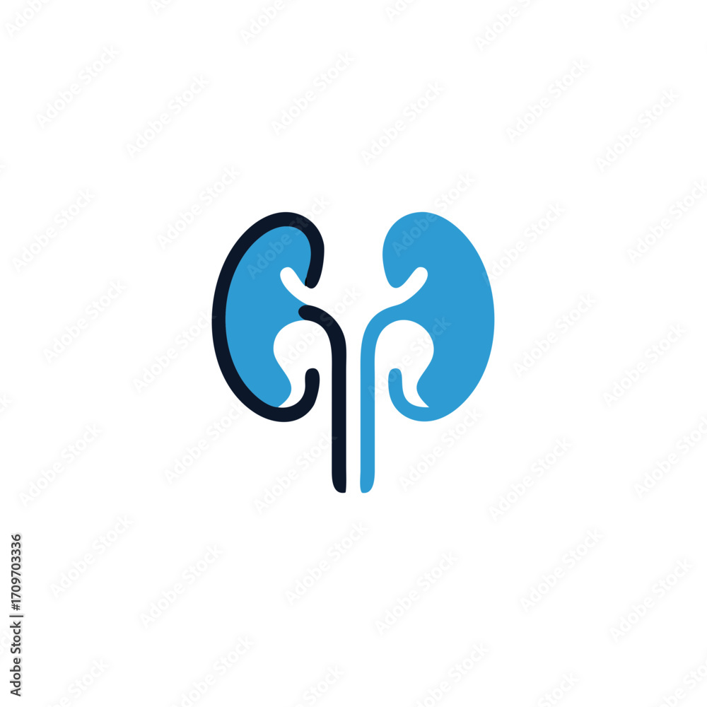 Fototapeta premium kidneys vector icon isolated on white