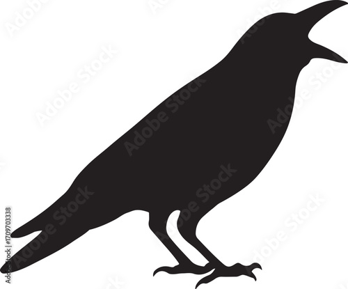 Crow with open beak calling silhouette vector, dramatic design for wildlife, nature, and art.