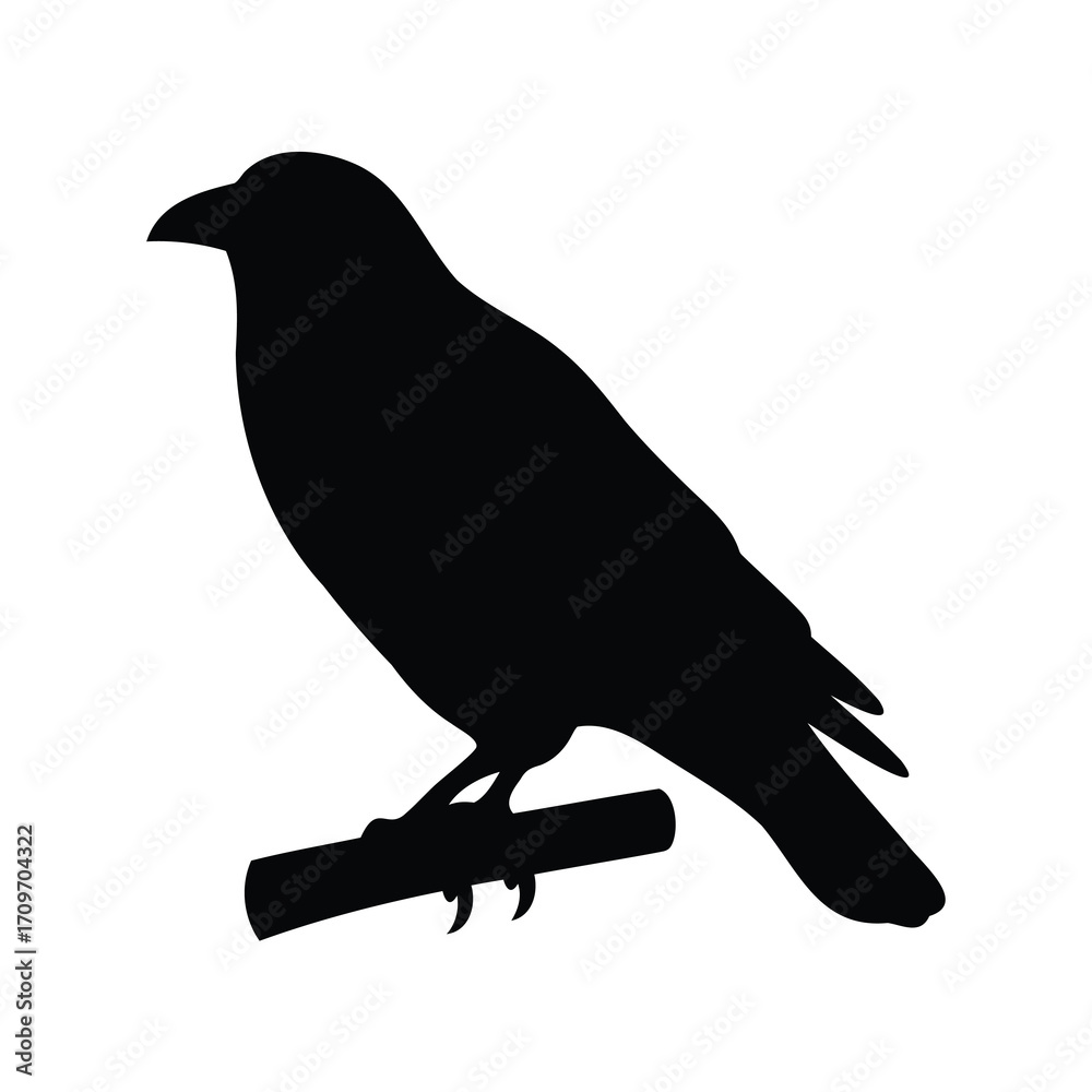 Fototapeta premium Silhouette of a crow perched upon a branch creating a dark artistic effect