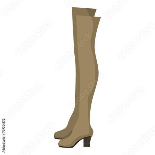Pair of Stylish Thigh-High Boots Fashion and Comfort