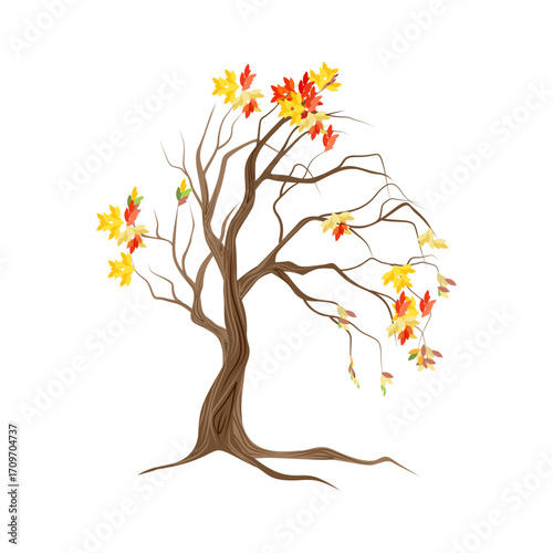 Autumn Tree with Falling Leaves A Watercolor Illustration