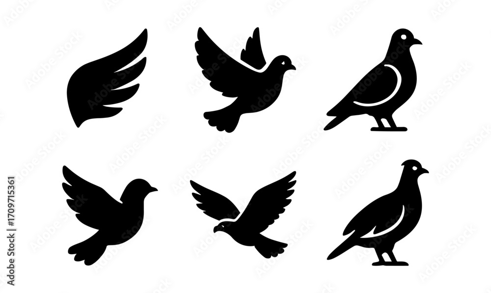 Obraz premium Silhouette set of bird and wing icons: pigeon and dove designs