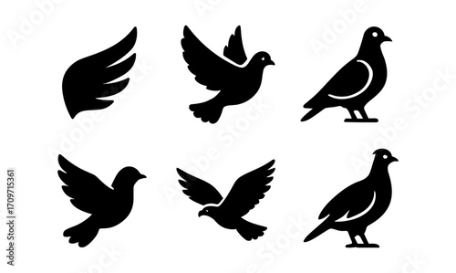Silhouette set of bird and wing icons: pigeon and dove designs