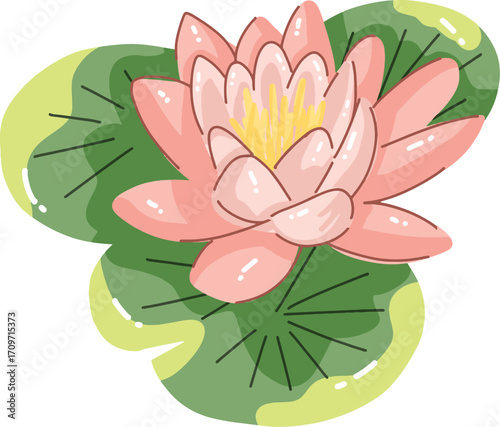 Pink Water Lily Floating on Lily Pads