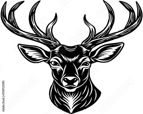 Black and white illustration of a majestic deer head with large antlers