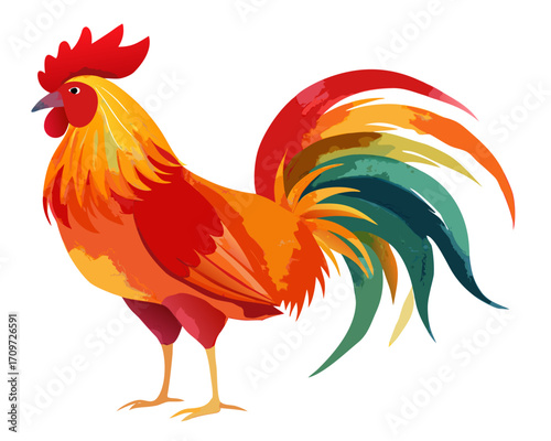 Vibrant rooster with colorful tail feathers on white background