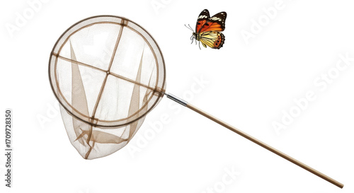 Photography Isolated Butterfly net with a Monarch butterfly ready to be caught or released,