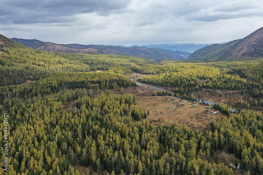 Naklejka premium drone view of the autumn landscape of the Altai mountains, a beautiful view from above of nature, river and mountains